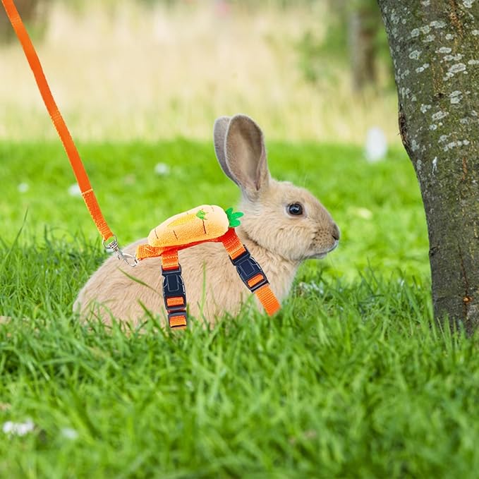 Bunny Harness and Leash for Rabbits,2 Pack Adjustable Bunny Harness,Cute Vest Harness and Leash Set, for Rabbit,Kitten, Puppy, Pig and Small Pet Animals