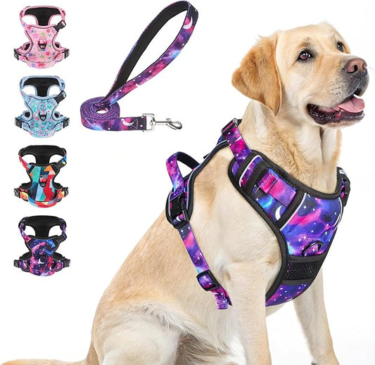 BEAUTYZOO No Pull Dog Harness Large, Adjustable Dog Harness and Leash Set -Easy Wearing with 3 Buckles/Control Handle,No Choke Soft Padded Reflective Pet Vest for Training Walking Hiking, L
