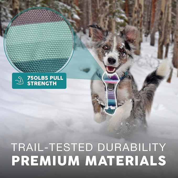 Embark Adventure Dog Harness, Reflective Trim XL Dog Harness for Extra Large Dogs No Pull - Military Grade Nylon, 2 Leash Clips & Gel Lined Handle. Soft & Padded Puppy Harnesses for Any Breed