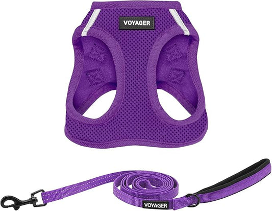 Voyager Step-in Air All Weather Mesh Harness and Reflective Dog 5 ft Leash Combo with Neoprene Handle, for Small, Medium and Large Breed Puppies by Best Pet Supplies - Set (Purple), XL