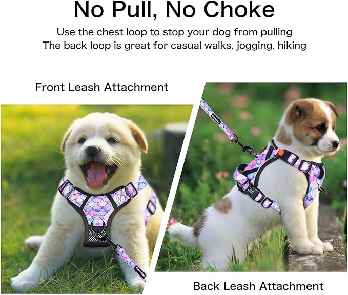 Petmolico No Pull Dog Harness and Leash Set, No Choke 2 Leash Attchments Easy Control Handle Soft Padded Reflective Vest Pet Harness for Medium Dog Breed, Mermaid Style Medium