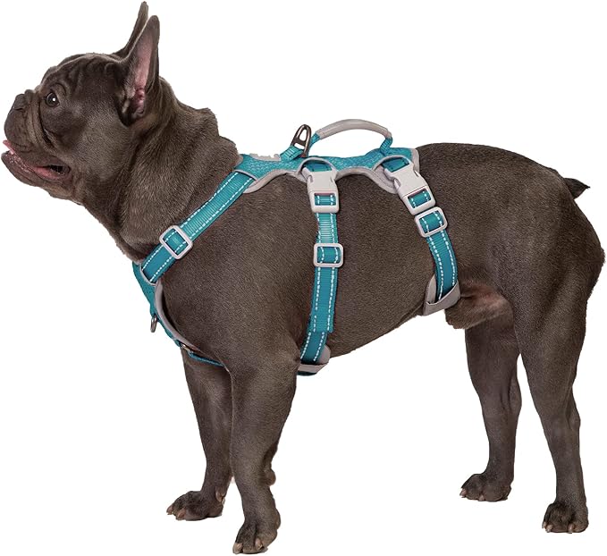 Escape Proof Dog Harness, Escape Artist Harness, Fully Reflective Harness with Padded Handle, Breathable, Durable, Adjustable Vest for Small Dogs Walking, Training, and Running Gear (Teal,S)