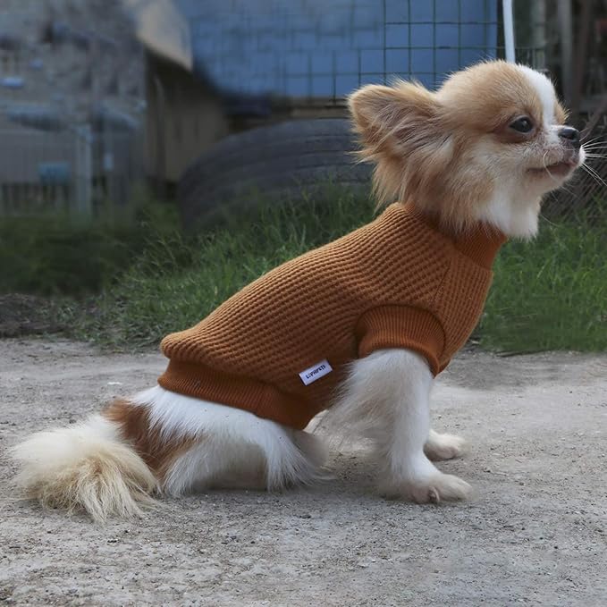 LOPHIPETS Lightweight Dog Sweaters for Puppy Small Dogs Puppy Chihuahua Yorkie Clothes-Yellow/M