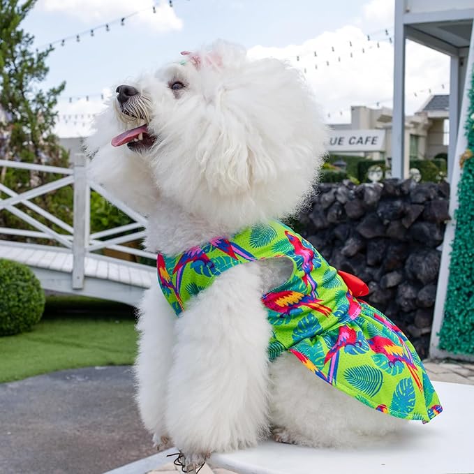 CuteBone Dog Mesh Dress Puppy Sundress Pet Outfit Summer Fashion for Small Dogs Girl Cat Clothes BF24XS