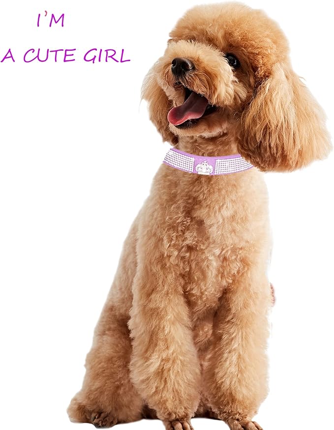 Dog Collar for Small Dogs, Adjustable Leather Suede Bling Dog Collars，Pink Dog Collar Cat Collar, Rhinestone Dog Collar (S, black3)