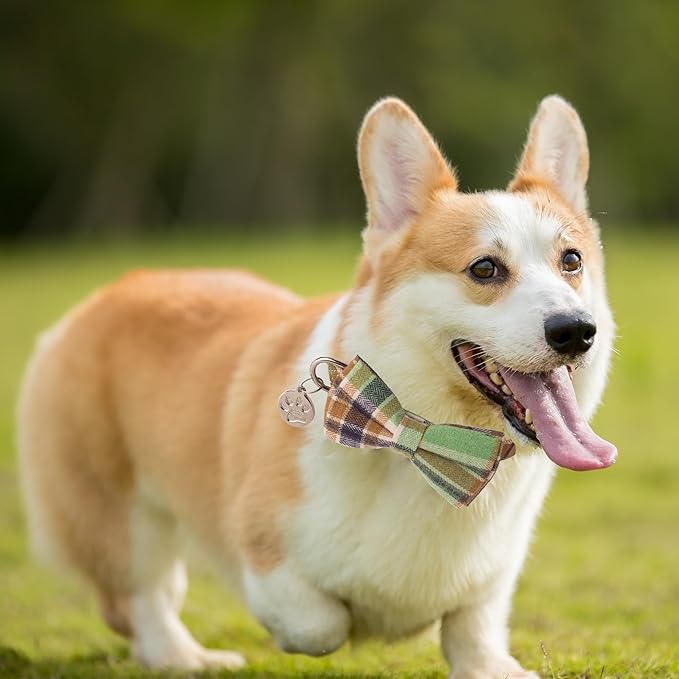 ADOGGYGO Plaid Dog Collar with Detachable Bowtie, Adjustable Soft Green Plaid Collars for Small Medium Large Dogs Pets (Medium)