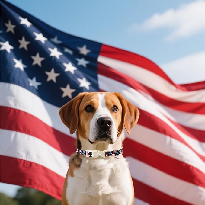 Summer Dog Collar, Durable Popcile Dog Collars, Adjustable Soft 4th of July Pet Collar for Small Large Medium Dogs