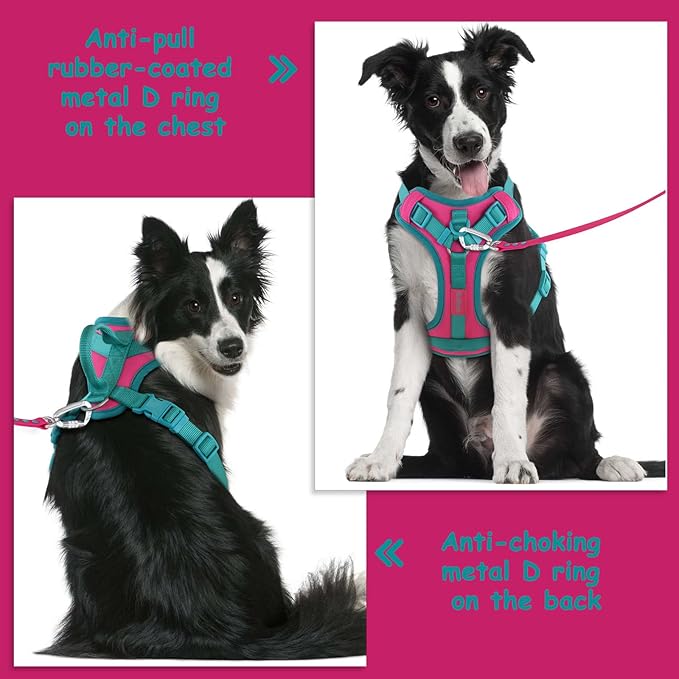No Pull Dog Harness Adjustable Soft Padded Pet Vest with Control Handle Adorable Daily Harness for Dogs（Pink Peacock L）