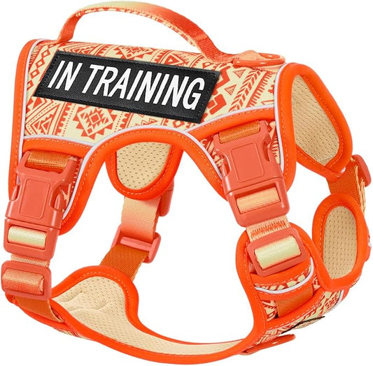 Dog Harness for X-Small Dog Breed, Light Pet Vest Harness with 2 Leash Clips and 3 Buckles, Easy to Wear, Adjustable Reflective Soft Padded, Boston Terrier, Beagle, Poodles, Orange XS