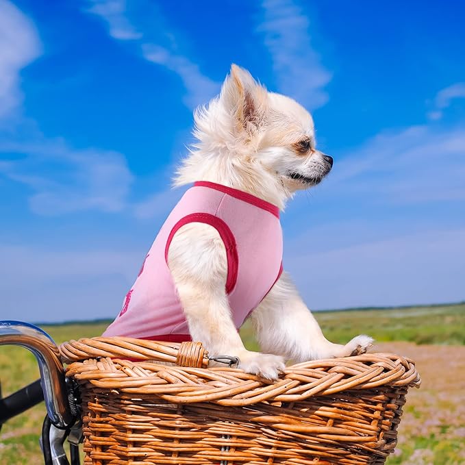 Jexine 6 Pack Chihuahua Dog T Shirt Girl Dog Puppy Clothes Breathable Outfit Pet Costume Summer Cat Clothes Dachshund Puppy Accessories Printed Shirts(Small)