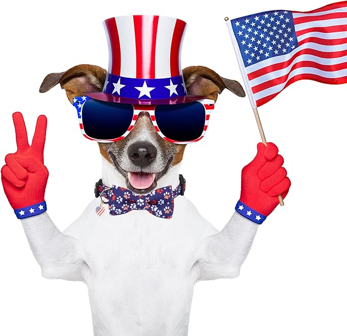 ADOGGYGO American Flag Dog Collar with Detachable Bowtie, Adjustable 4th of July Patriotic Collars for Small Medium Large Dogs Pets (Medium)