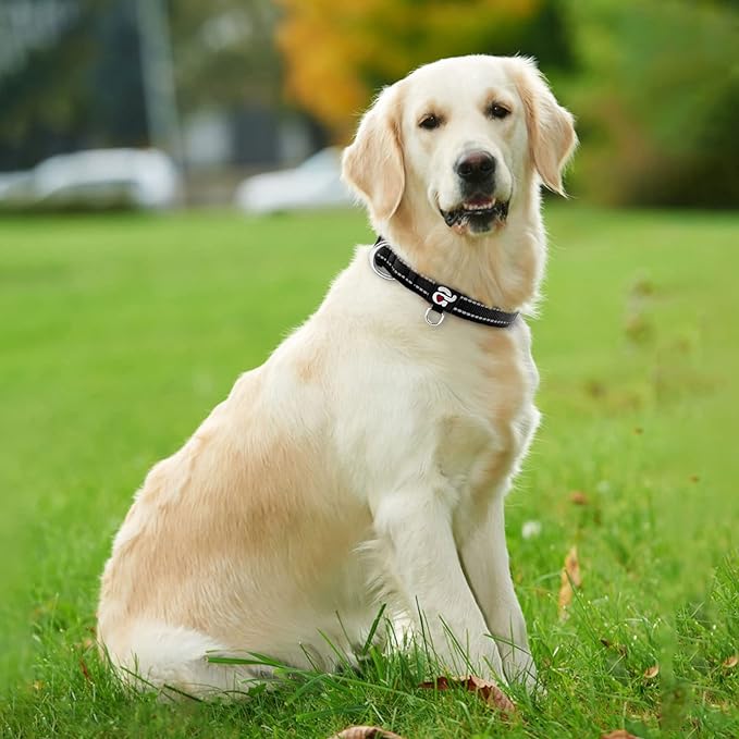 azuza Reflective Dog Collar,Soft Neoprene Padded Pet Collar with ID Tag Ring,Adjustable for Large Dogs,Black,L