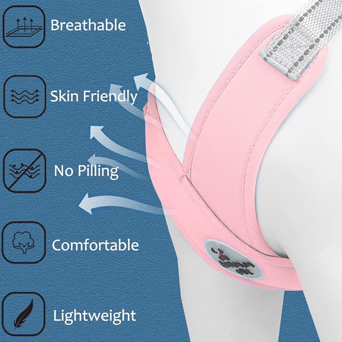 FEimaX Dog Harness Pet X Frame No Pull Step-in Harnesses with Leash Set, Adjustable Reflective Choke Free Puppy with Padded Vest for Small, Medium Dogs and Cats Walking Training