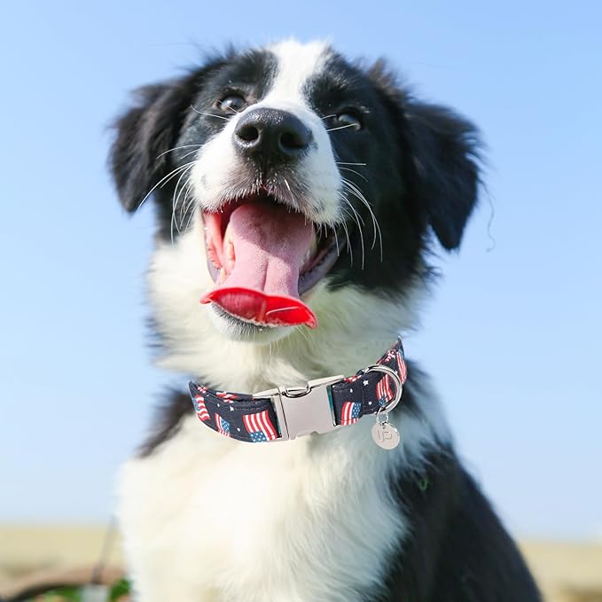 American Flag Dog Collar, 4th of July Comfortable Cotton Cute Dog Collar with Metal Buckle, Patriotic Collar for Puppy Girl Boy Dog or Cat, XS