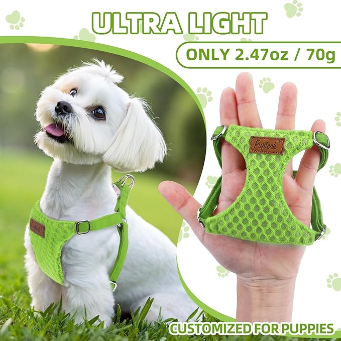 PUPTECK Dog Harness and Leash Set Small Sized, Step-in Cute Puppy Harness, Soft Lightweight Padded Vest, Escape Proof No Pull Pet Harnesses Easy for Walking, Green, M