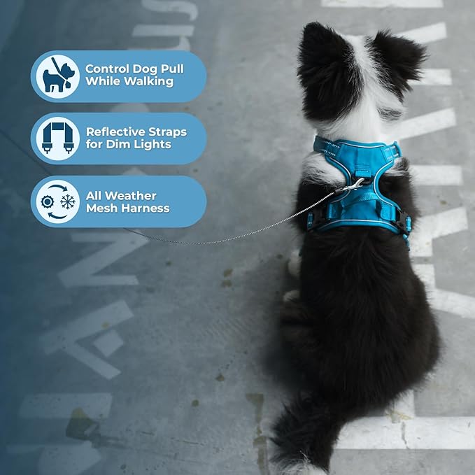 Dog Harness Dual Leash Attachment No-Pull Control Adjustable Soft but Strong Pet Harness for Medium and Large Dogs with 3M Reflective Technology - Turquoise, M (Chest: 20-25") (Pack of 3)