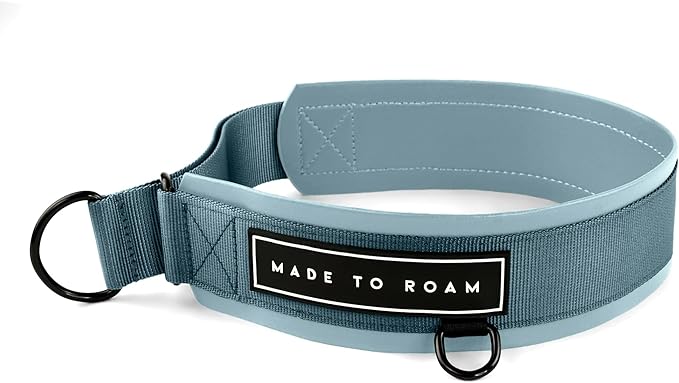 MADE TO ROAM Premium Everyday Dog Collar - Martingale Style No Pull Vegan Leather Collar, Heavy Duty and Lightweight for Small, Medium, Large Dogs (California Horizon, Size 10)