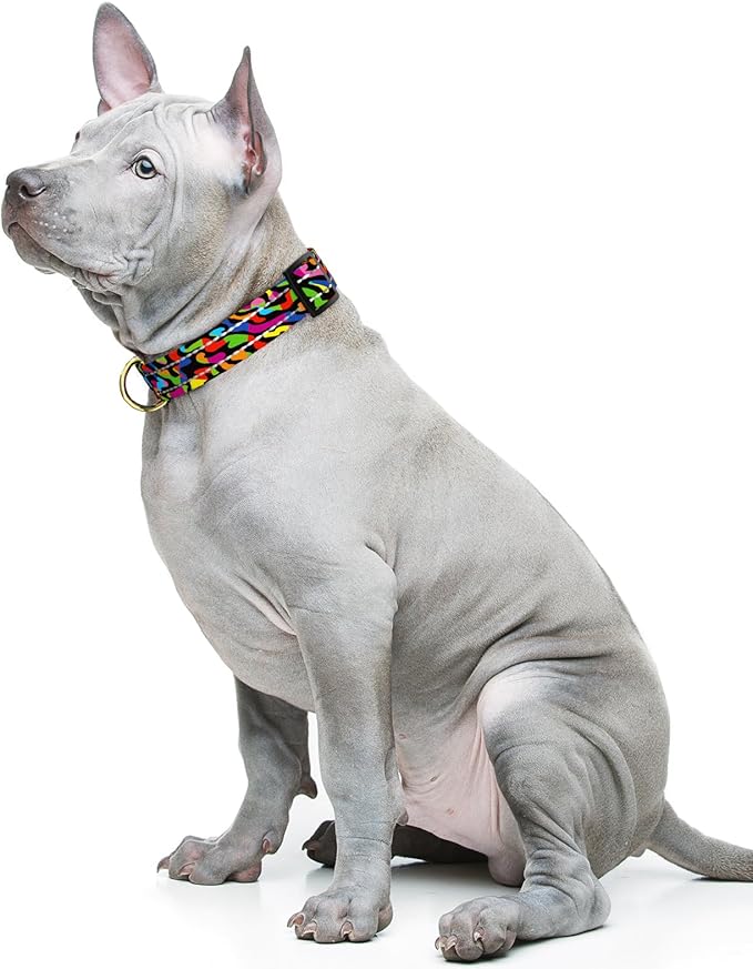 Reflective Dog Collar for Medium Dogs, Cute Boho Adjustable Heavy-Duty Nylon Puppy Collar for Boy and Girl Female, Soft Pet Accessories with Quick Release Buckle, Abstract Rainbow Art