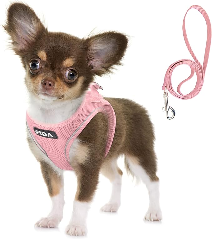 Fida Comfy Dog Harness with Leash, Soft Puppy Vest Escape Proof, Breathable Lightweight Soft Mesh, Adjustable Reflective Step-in Harness for Small Pet Walking (S, Pink)