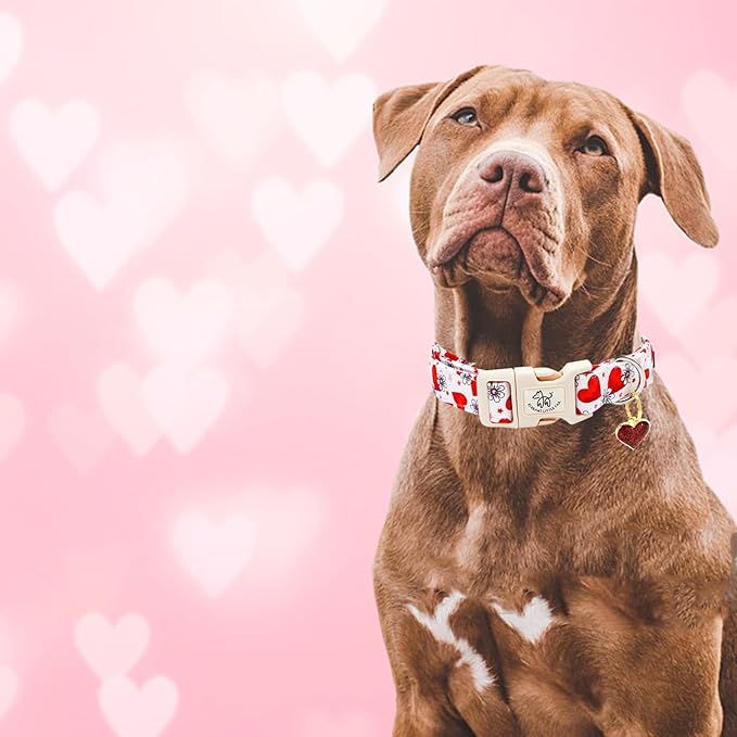 Elegant little tail Valentine's Dog Collar, Flower Pink Heart Dog Collar for Small Dogs, Female or Male Adjustable Cotton Pet Collar with Quick Release Buckle for Small Medium Large Dogs