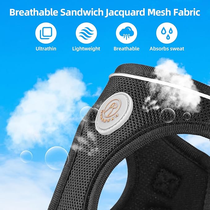 Soft Mesh Dog Harness and Leash Set, No Pull Puppy Harness and Leash Set, Reflective Step in Harness for Small Medium Dogs, Easy Walk Escape Proof Vest Harnesses (Black, M)