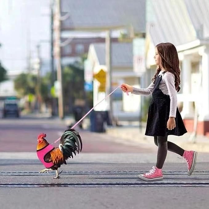 4 Pcs Funny Chicken Accessories - Comfortable Harness and Leash for Hens, Breathable Mesh