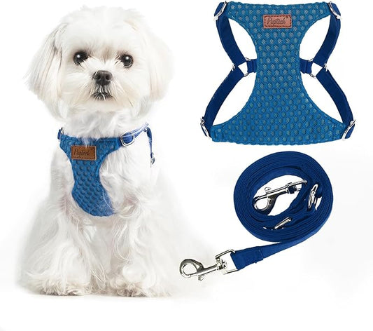 PUPTECK Dog Harness and Leash Set Small Sized, Step-in Cute Puppy Harness, Soft Lightweight Padded Vest, Escape Proof No Pull Pet Harnesses Easy for Walking, XS