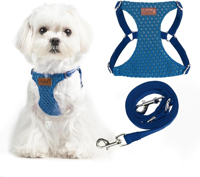 PUPTECK Dog Harness and Leash Set Small Sized, Step-in Cute Puppy Harness, Soft Lightweight Padded Vest, Escape Proof No Pull Pet Harnesses Easy for Walking, Blue, XXS
