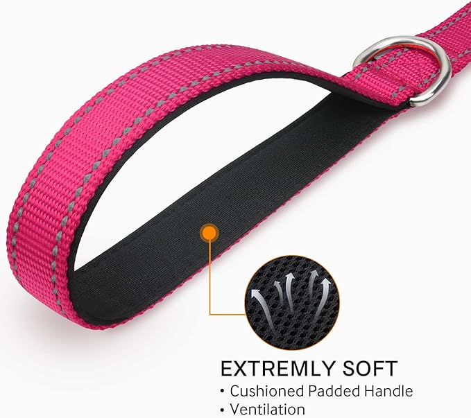Joytale Double-Sided Reflective Dog Leash, 6 FT/5 FT/4 FT, Padded Handle Nylon Heavy Duty Leashes for Small & Medium Dogs Walking, Hotpink, 6FT