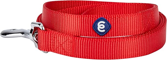 Blueberry Pet Essentials 19 Colors Durable Classic Dog Leash 5 ft x 3/4", Rouge Red, Medium, Basic Nylon Leashes for Dogs