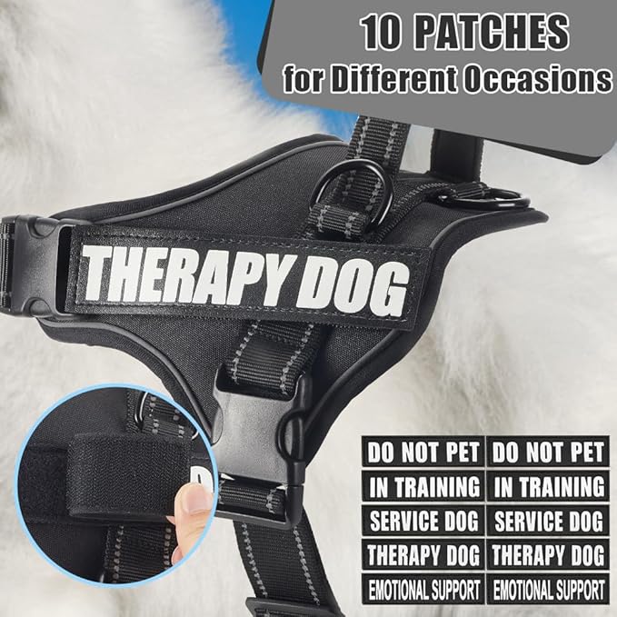 Dog Vest Harness and Leash Set, Animire Reflective Service Dog Vest in Training Dog Harness with 10 Patches, 3 Rings Emotional Support Therapy Dog Harness for Small Medium Large Dogs(Black,M)