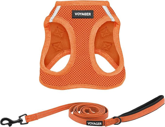 Voyager Step-in Air All Weather Mesh Harness and Reflective Dog 5 ft Leash Combo with Neoprene Handle, for Small, Medium and Large Breed Puppies by Best Pet Supplies - Set (Orange), S
