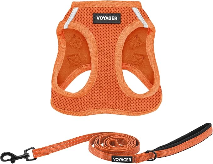 Voyager Step-in Air All Weather Mesh Harness and Reflective Dog 5 ft Leash Combo with Neoprene Handle, for Small, Medium and Large Breed Puppies by Best Pet Supplies - Harness Leash Set (Orange), L