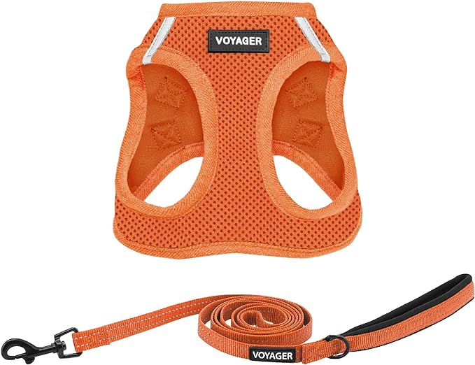 Voyager Step-in Air All Weather Mesh Harness and Reflective Dog 5 ft Leash Combo with Neoprene Handle, for Small, Medium and Large Breed Puppies by Best Pet Supplies - Set (Orange), XL
