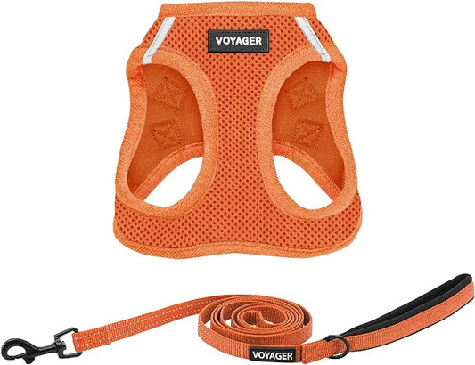 Voyager Step-in Air All Weather Mesh Harness and Reflective Dog 5 ft Leash Combo with Neoprene Handle, for Small, Medium and Large Breed Puppies by Best Pet Supplies - Set (Orange), XL