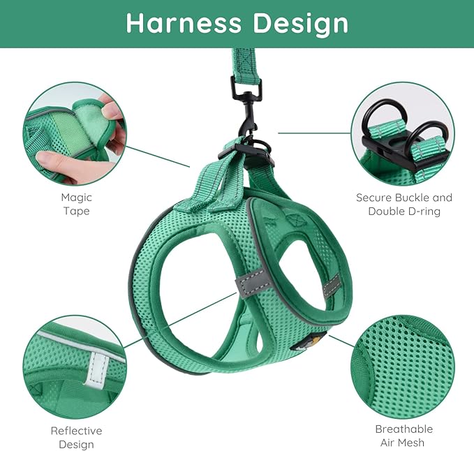 BELLA & PAL Puppy Harness with Leash Set, Dog Harness for Small Dogs No Pull, Dog Leash for Small Dogs, Step in Harness for Extra Small Dogs, Green Harness, L BPH00434