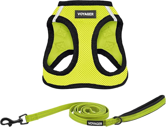 Voyager Step-in Air All Weather Mesh Harness and Reflective Dog 5 ft Leash Combo with Neoprene Handle, for Small, Medium and Large Breed Puppies by Best Pet Supplies - Green, Large
