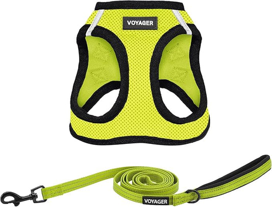 Voyager Step-in Air All Weather Mesh Harness and Reflective Dog 5 ft Leash Combo with Neoprene Handle, for Small, Medium and Large Breed Puppies by Best Pet Supplies - Green, Small