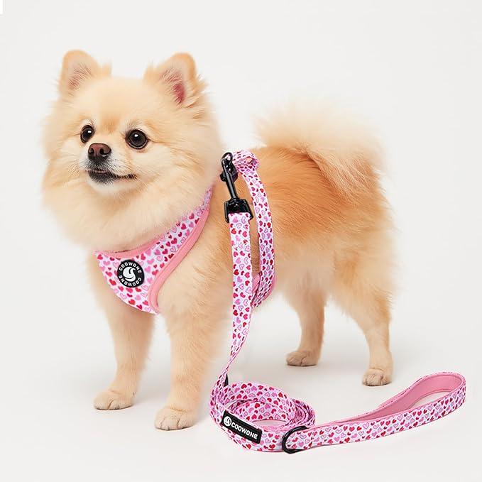 Dog Harness and Leash Set, Adjustable Dog Harness, Dog Leash, No Pull No Choke Puppy Harnesses for Walking Training for Small, Medium, Large Pet (Little Love, XS(Chest 11-13", Neck 9-11"))