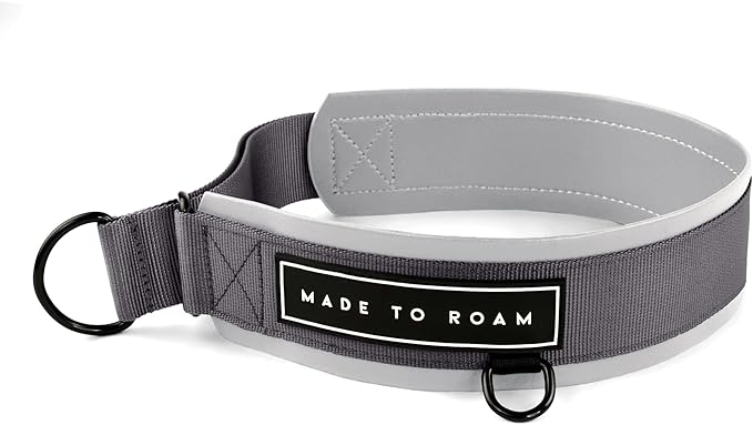 MADE TO ROAM Premium Everyday Dog Collar - Martingale Style No Pull Vegan Leather Collar, Heavy Duty and Lightweight for Small, Medium, Large Dogs (Montana Moonrise, Size 8)