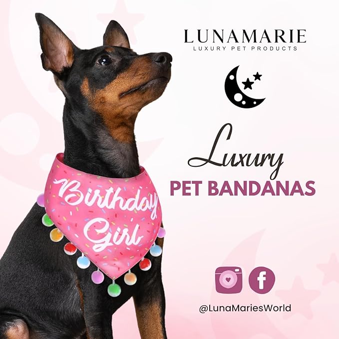 Luxury Pet Birthday Bandanas -Premium & Silky Poly Fabric | 100% Handmade | Custom Shape Dual Layered (Birthday Girl, Small)