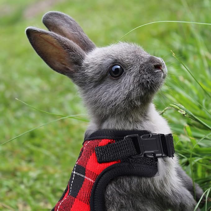 2 Pieces Guinea Pig Harness and Leash with Safety Bell Adjustable Hamster Ferret Harness and Leash Set No Pulling Walking Vest for Ferret Chinchilla and Similar Small Animals(L, 9-10 Inch Chest)