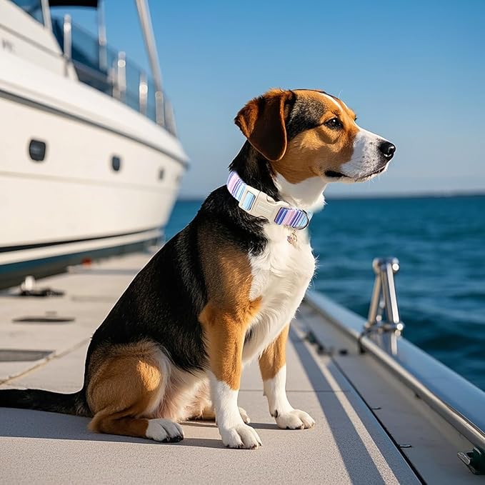 DOGWONG Blue Dog Collar, Beach Stripe Dog Collar Adjustable Soft Natural Fabric Girl Boy Pet Dog Collars Cute Puppy Necklace for Small Medium Large Dogs