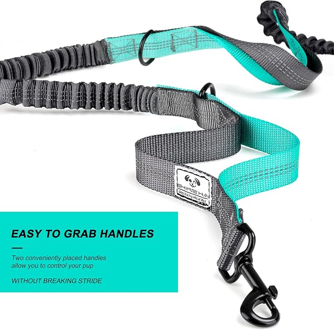 SHINE HAI Retractable Hands Free Dog Leash with Dual Bungees for 2 Dogs, Adjustable Waist Belt, Reflective Stitching Leash for Running Walking Hiking Jogging Biking Black - Gray