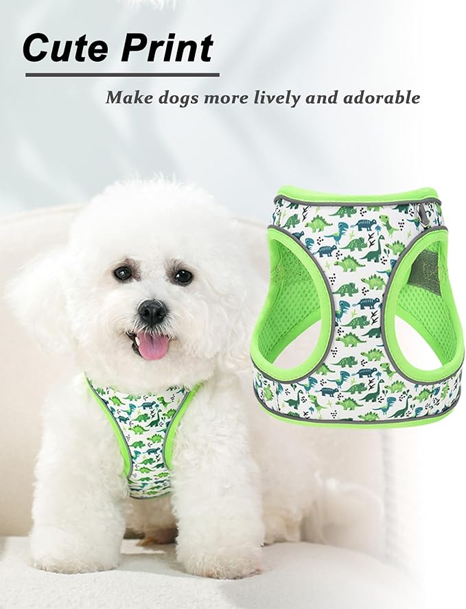 XXS Green Dinosaur Pattern Dog Harness and Leash Set,No Escape Puppy Harnesses for Training Walking，Breathable Adjustable Puppy Vest for Small Medium Dogs, Cats (Green, XXS)