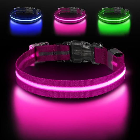 Led Dog Collar for Night Walking,Rechargeable Light Up Dog Collar Led Color,Glow in The Dark Dog Collars Waterproof for Small Medium Large Dogs (Pink, Medium)