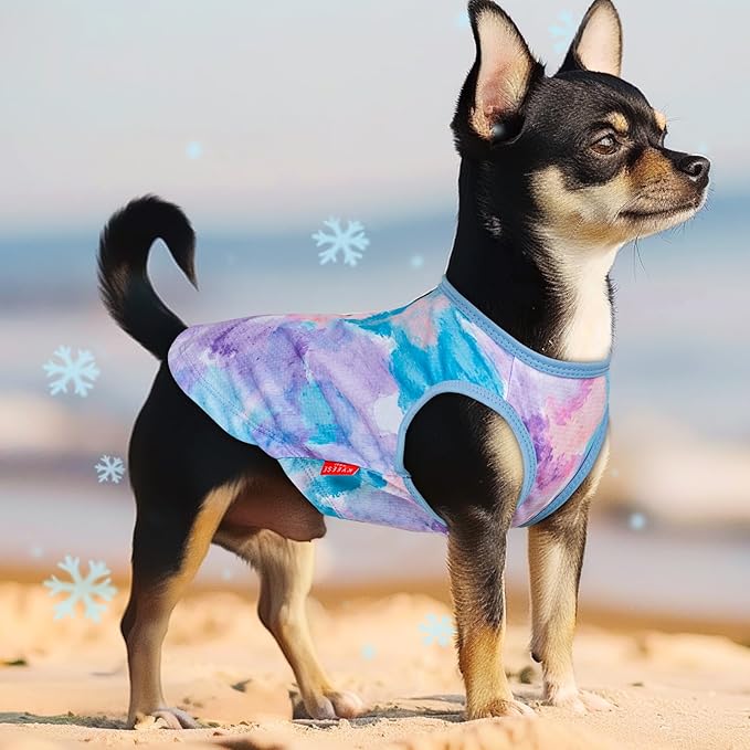 KYEESE 2 Pack Dog Cooling Shirts for Summer Breathable Instant Cooling Dog Vest for Small Dogs Lightweight Sleeveless Vest Soft Quick Dry Puppy Shirt Great for Outdoor Activities