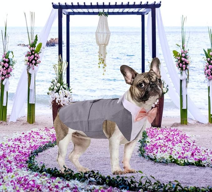 QBLEEV Tuxedo for Medium Dogs, Suit and Bandana Set, Wedding Outfit With Bow Tie, Formal Tux Costume for Halloween Christmas Birthday Party Cosplay, Grey M
