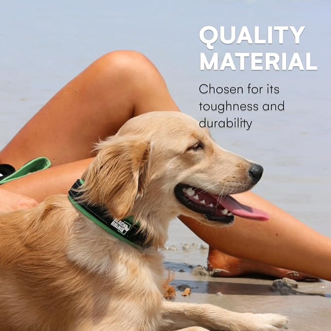 Black Rhino Dog Collars for Small Dogs - Adjustable Reflective Heavy Duty Dog Collar with Ultra-Soft Neoprene Padding - Weatherproof, Durable, and Comfortable for Active Dogs - Green and Black