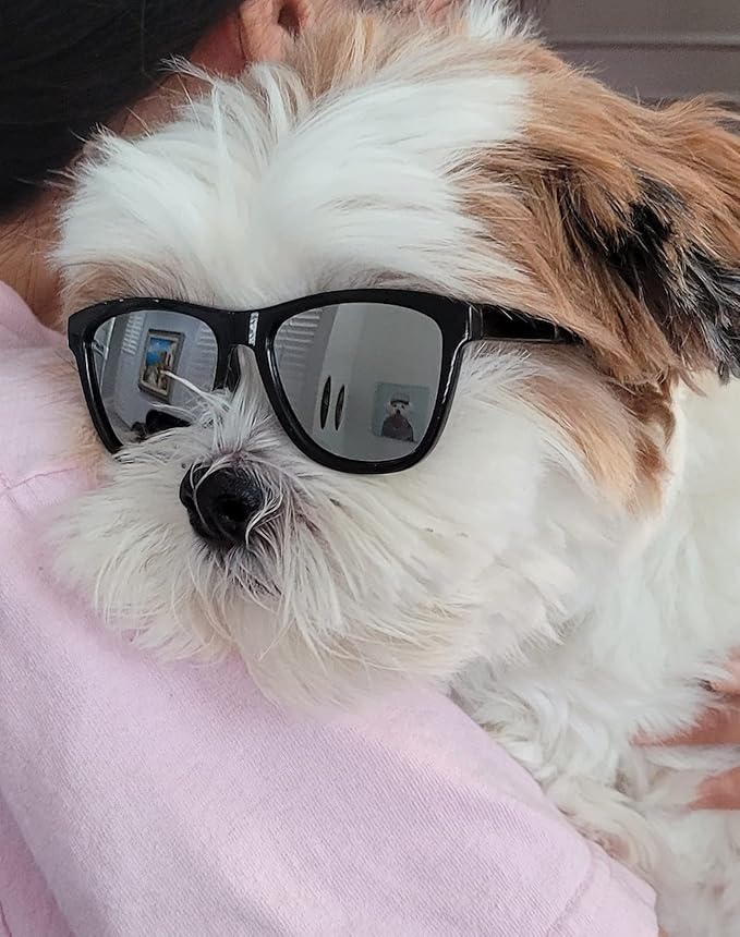 G014 Dog Cat Pet 80s Sunglasses Goggles for Small Breeds up to 15lbs (2-Pack Black+ Black-Mirror)